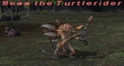 Meww the Turtlerider