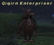Qiqirn Enterpriser