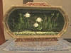 Freshwater Aquarium up close