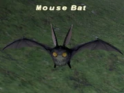 Mouse Bat