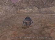 Wadi Crab