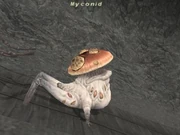 Myconid