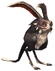 Darker Rabbit