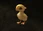 Chocobo Name