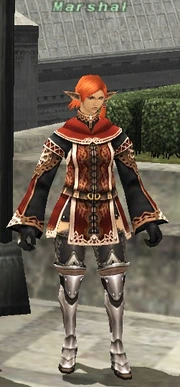 Elvaan "Ballista" Marshal in Jeuno