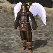 The effect of an Angelwing