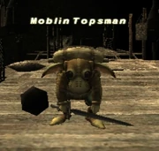 Moblin Topsman