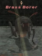 Brass Borer