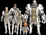 All races in full Paladin Relic Armor.