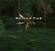 Molted Puk