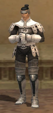 A Hume Male in full Studded Armor