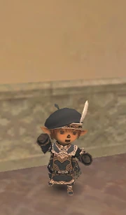 A tarutaru male in full Crow Jupon set