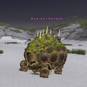 http://images2.wikia.nocookie.net/ffxi/images/thumb/f/f8/Aspid.jpg/180px-Aspid.jpg