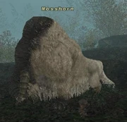 Mosshorn