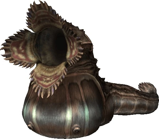 Image:Land Worm.jpg