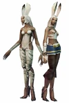 Viera of Final Fantasy XII