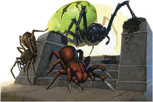 Spiders