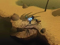 Much of the gameplay of Shadows of Undrentide takes place in the desert of Anauroch.