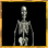 Image:Skeleton Sentinels.PNG