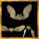 Image:Vampire Bats.PNG