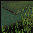 Image:Hallowvaleswamps.png