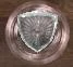 Damage Absorption Shield