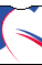 Color del Equipo