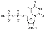 Chemical structure of thymidine diphosphate