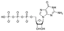 Chemical structure of guanosine triphosphate