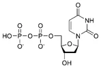 Chemical structure of deoxyuridine diphosphate