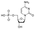 Chemical structure of deoxycytidine monophosphate