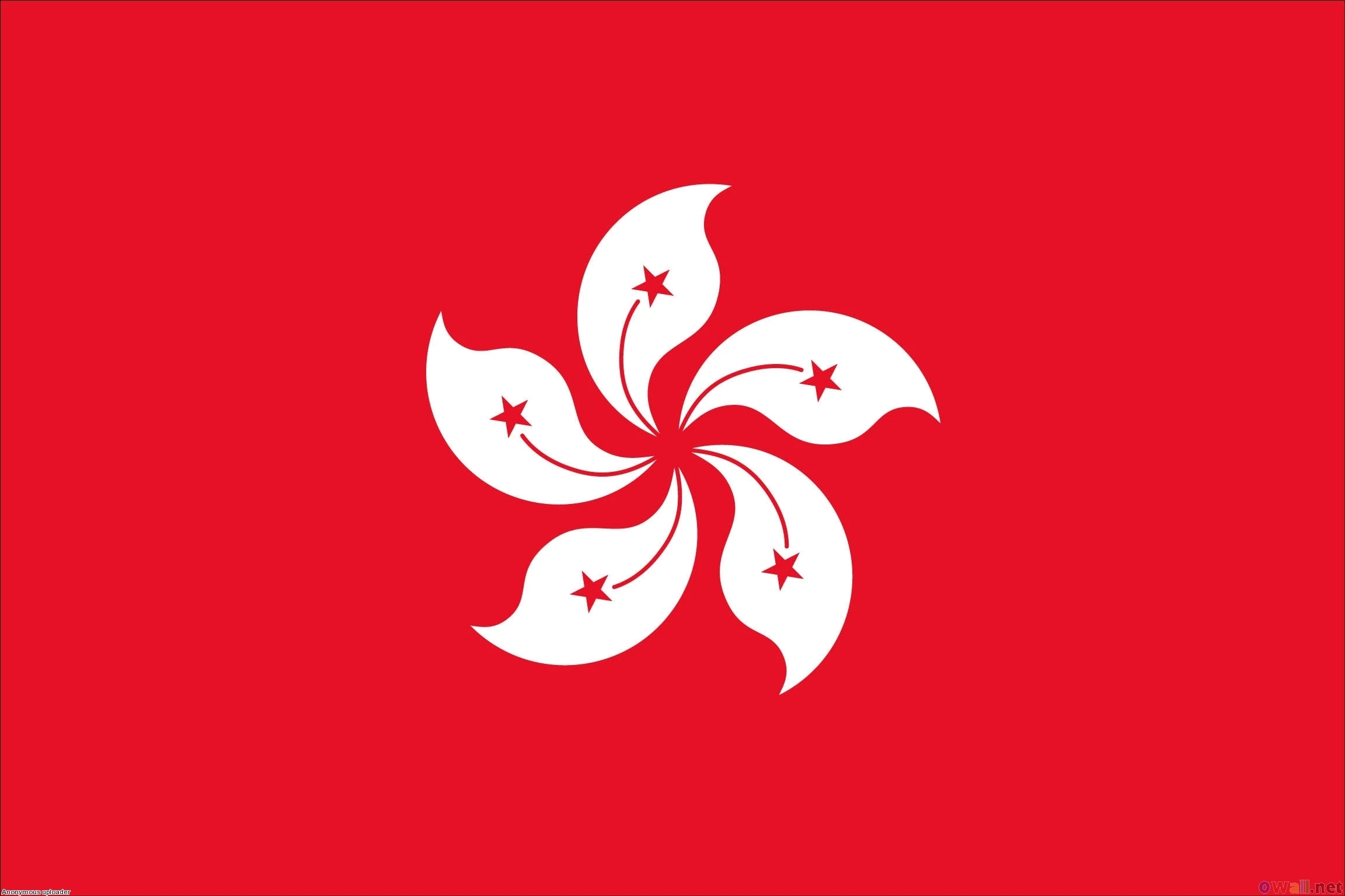 File:Hong kong flag 2304x1536 File:Hong kong flag 2304x1536