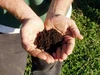 Biodynamic