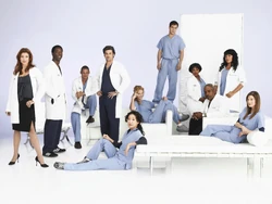 GreysS3MainCast