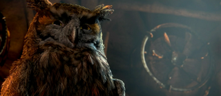 http://images2.wikia.nocookie.net/guardiansofgahoole/images/thumb/f/f5/Bubo_2.png/320px-Bubo_2.png