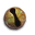 Oeil de Kraken