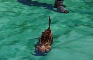 Cochon miniature