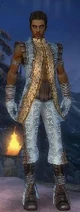 Armure istani pour homme Élémentaliste