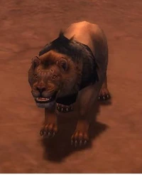 Lion