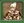 Chasse au mort-vivant