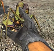 그림:Bugspawn.png