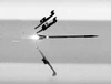 Sabot Stabilizing rounds