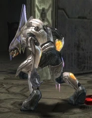 Shch 'Nodotee after a long battle with Brutes.