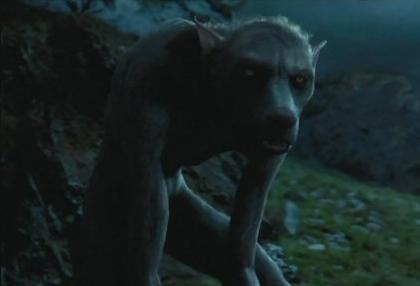 http://images2.wikia.nocookie.net/harrypotter/fr/images/b/b9/Loup-garou.jpg