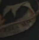 Ella Max's name on the Black family tree