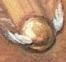 File:GSnitch.JPG