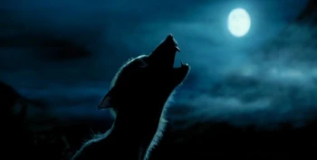 Remus Lupin transforms into a Werewolf in the Spring of 1994.