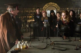 Lavender in Potions class.