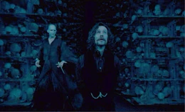 Harry's vision of Sirius in the Department of Mysteries.
