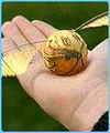 The Golden Snitch